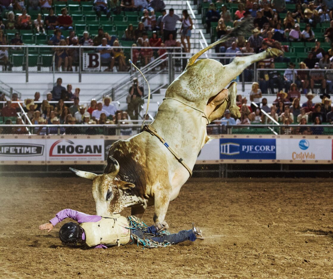 Ogden Pioneer Days Rodeo festivities underway, tickets available